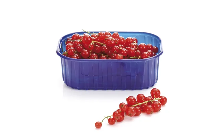 Framed Print : Red Currants in a Plastic Box Print Framed Print : Red Currants in a Plastic Box Print