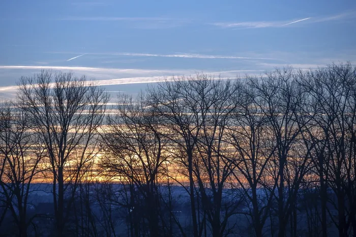 Framed Print : Red Evening Sky, Bare Trees in Front - Print Framed Print : Red Evening Sky, Bare Trees in Front - Print