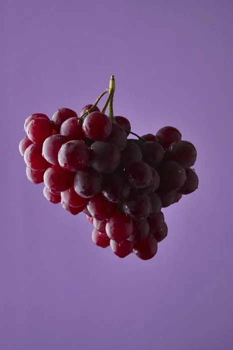 Framed Print : Red Grape Branch Print on Violet Background Framed Print : Red Grape Branch Print on Violet Background