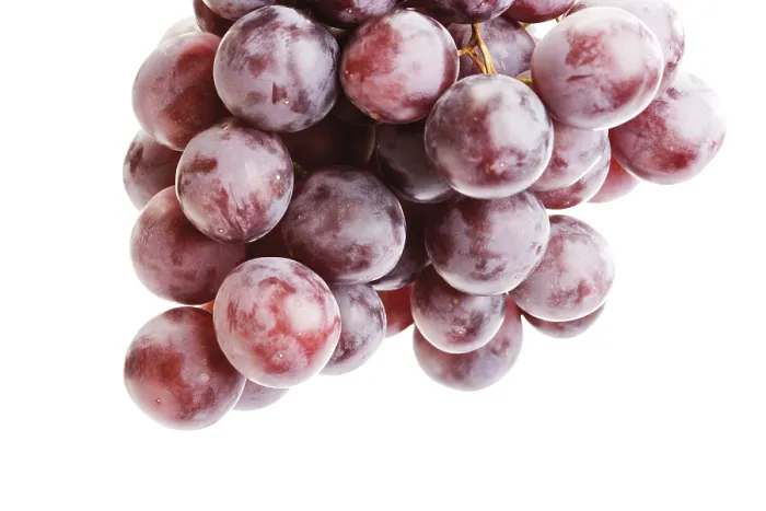Framed Print : Red Grapes Print - Fresh Fruit Still Life Framed Print : Red Grapes Print - Fresh Fruit Still Life