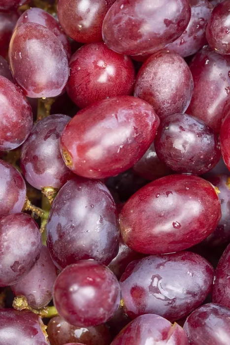 Framed Print : Red Grapes Print from Above Framed Print : Red Grapes Print from Above