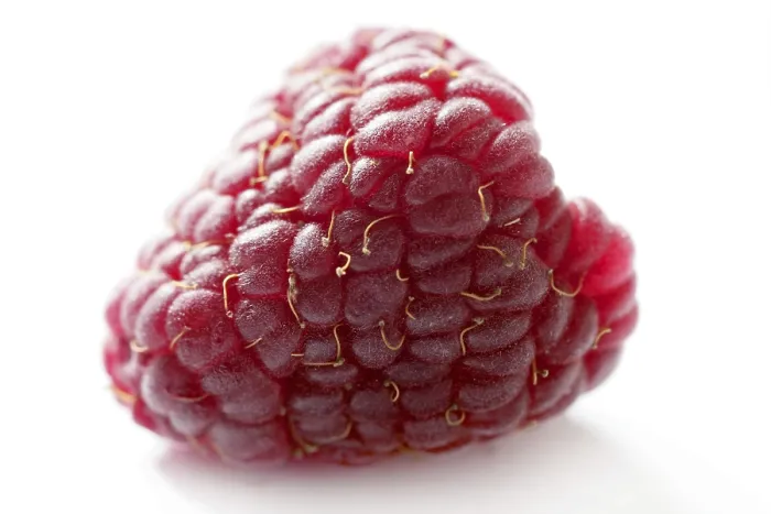 Framed Print : Macro Raspberry Print in Studio Framed Print : Macro Raspberry Print in Studio