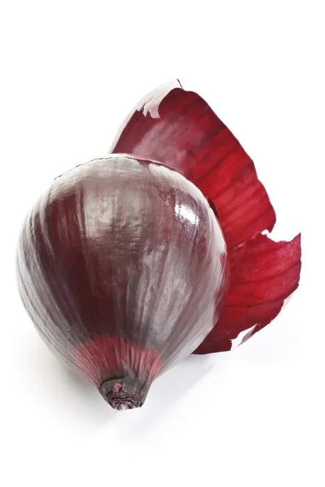 Framed Print : Red Onion Print Framed Print : Red Onion Print