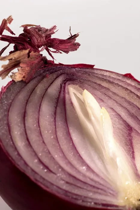 Framed Print : Red Onion Cut in Half Print Framed Print : Red Onion Cut in Half Print