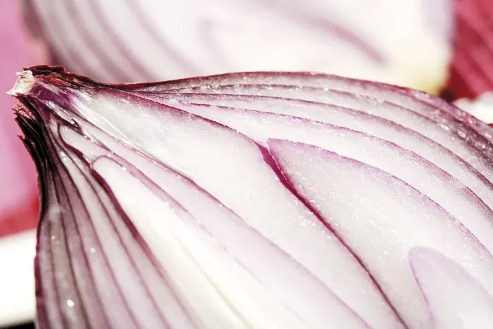 Framed Print : Red Onion Halved Print Framed Print : Red Onion Halved Print