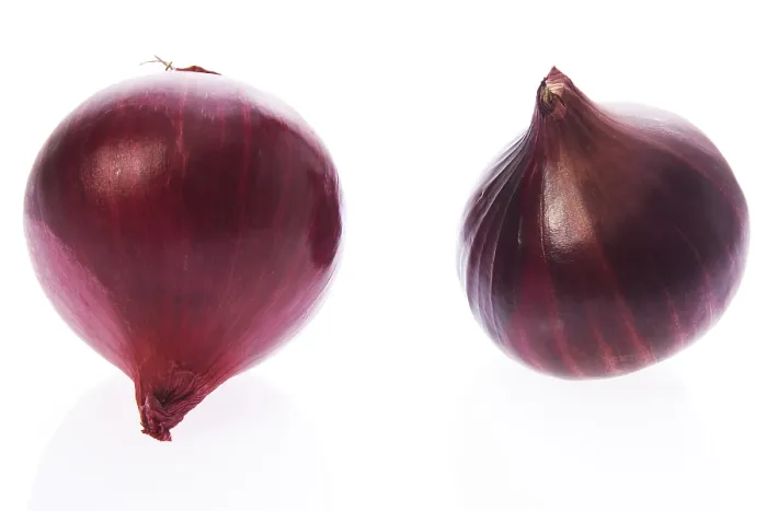 Framed Print : Red Onions Print Framed Print : Red Onions Print