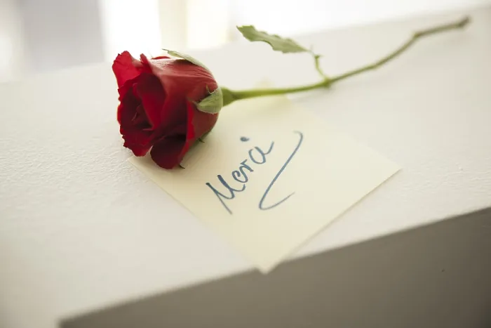 Framed Print : Red Rose with Merci Note Print, Mannheim, Germany