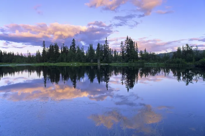 Framed Print : Reflection Print by ImageBROKER Framed Print : Reflection Print by ImageBROKER