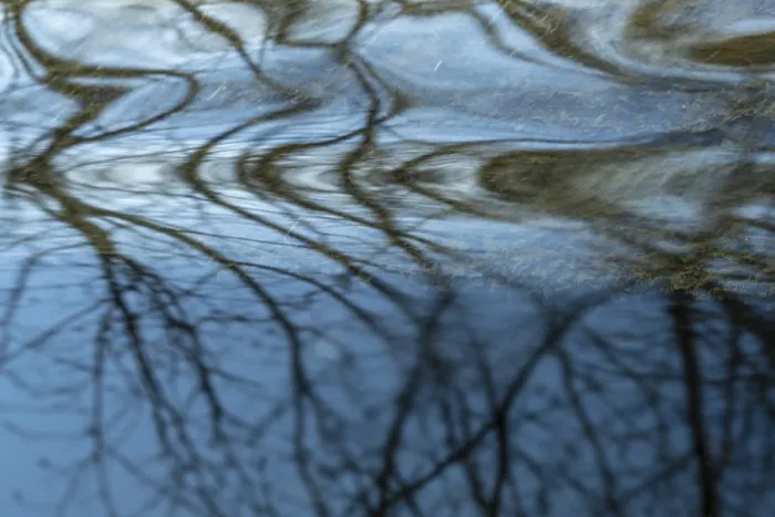 Framed Print : Reflection in a Stream Print, Ostersund, Sweden Framed Print : Reflection in a Stream Print, Ostersund, Sweden