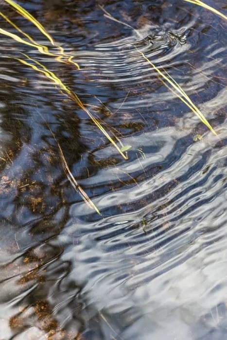 Framed Print : Reflections in a Stream Print, Gällivare, Sweden, June 2017 Framed Print : Reflections in a Stream Print, Gällivare, Sweden, June 2017