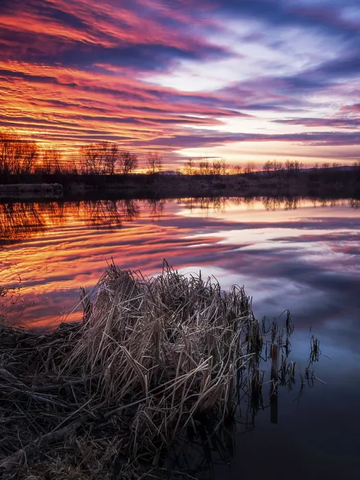 Framed Print : Reflections of Sunset at the Lake Print Framed Print : Reflections of Sunset at the Lake Print