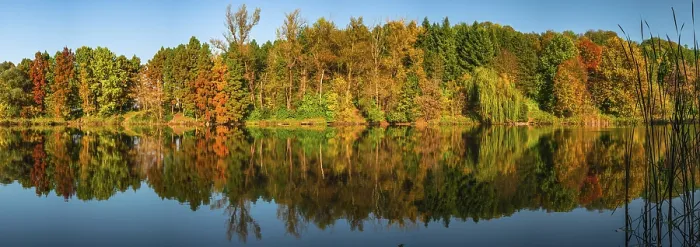 Framed Print : Reflexion Reflexion Print by ImageBROKER Framed Print : Reflexion Reflexion Print by ImageBROKER