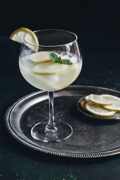 Framed Print : A Refreshing Gin Tonic Print Framed Print : A Refreshing Gin Tonic Print
