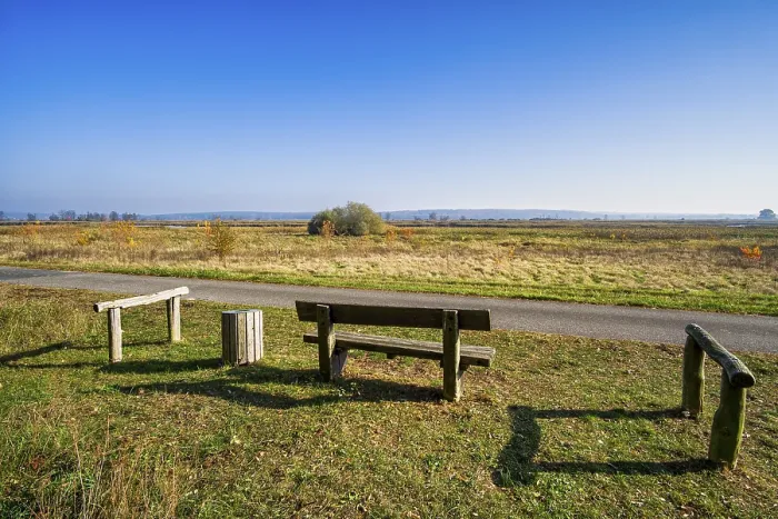 Framed Print : Rest Area Print, Lower Oder Valley National Park Framed Print : Rest Area Print, Lower Oder Valley National Park
