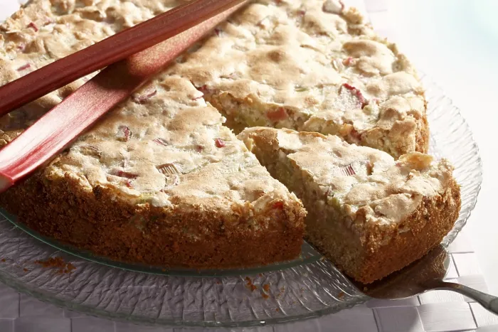 Framed Print : Rhubarb Cake Print Framed Print : Rhubarb Cake Print