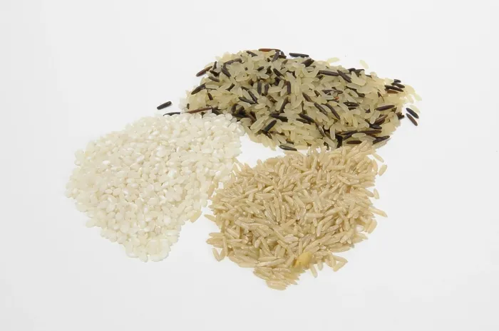Framed Print : Rice Print from imageBROKER Framed Print : Rice Print from imageBROKER