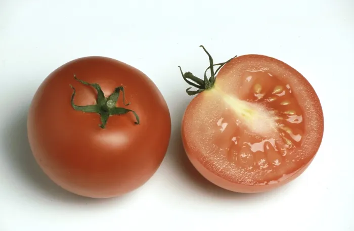 Framed Print : Ripe Tomatoes Print Framed Print : Ripe Tomatoes Print