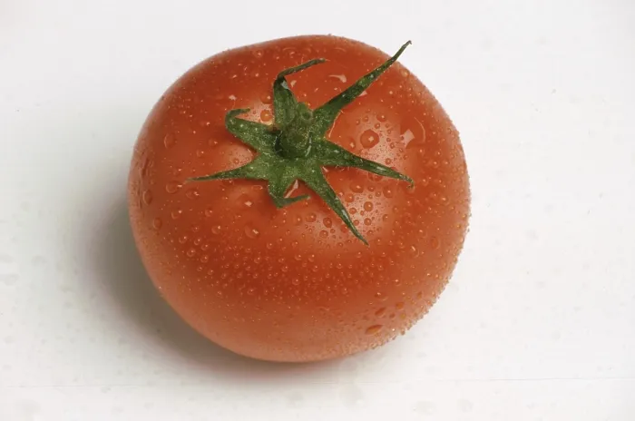 Framed Print : Ripe Tomatoes Print Framed Print : Ripe Tomatoes Print