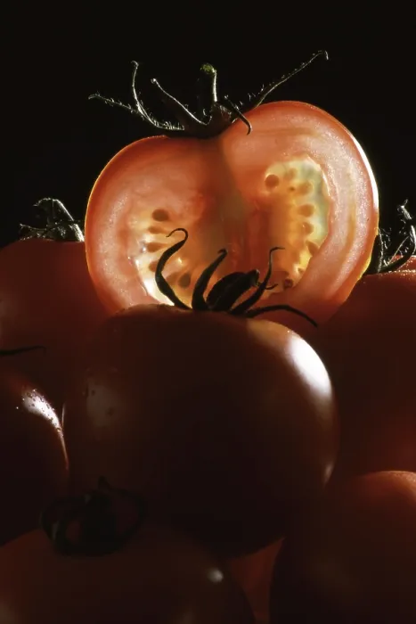 Framed Print : Ripe Tomatoes Print Framed Print : Ripe Tomatoes Print