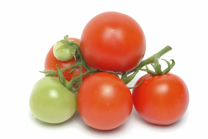 Framed Print : Ripe Tomatoes Print Framed Print : Ripe Tomatoes Print