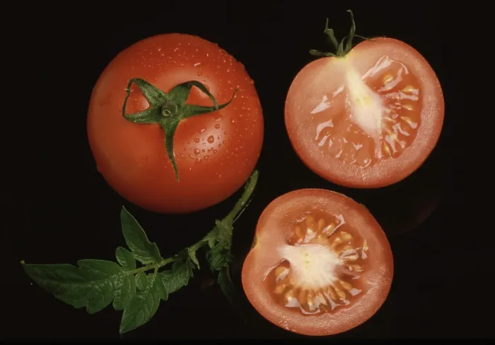 Framed Print : Ripe Tomatoes Print Framed Print : Ripe Tomatoes Print