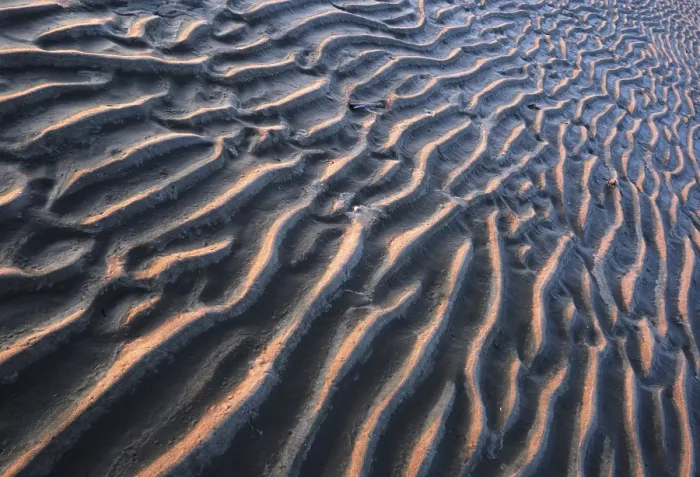 Framed Print : Westerhever Ripple Pattern in Mudflats Print, Germany