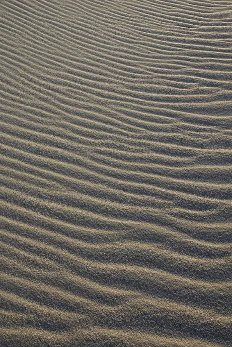 Framed Print : Ripples in Sand Print, Sylt Coast, Germany