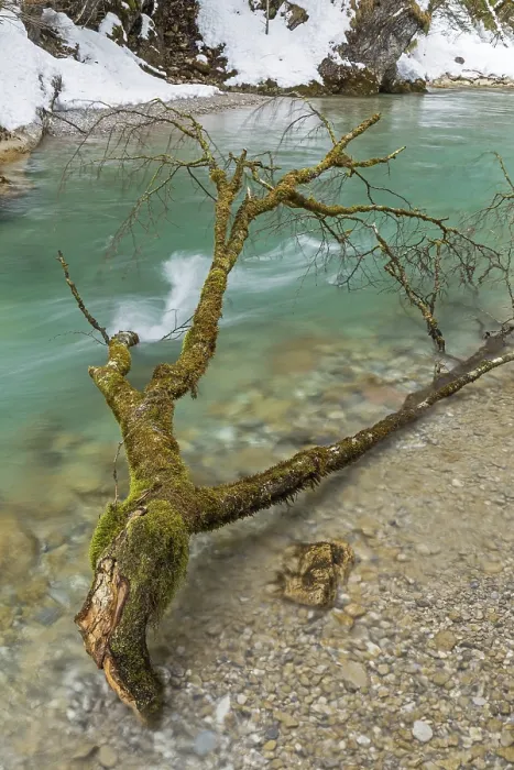 Framed Print : At the Rissbach in Winter Print Framed Print : At the Rissbach in Winter Print