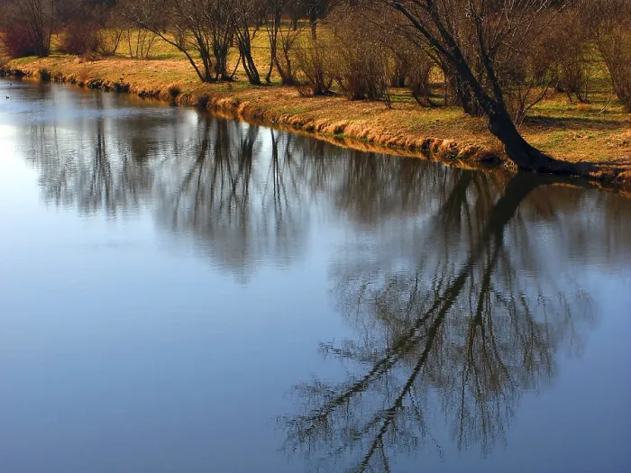 Framed Print : River Bank Print - Serene Landscape