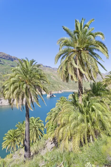 Framed Print : Gran Canaria Mountain River Print Framed Print : Gran Canaria Mountain River Print