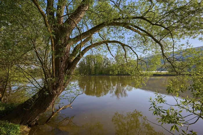 Framed Print : River Landscape Print, Laudenbach, Bavaria, Germany Framed Print : River Landscape Print, Laudenbach, Bavaria, Germany