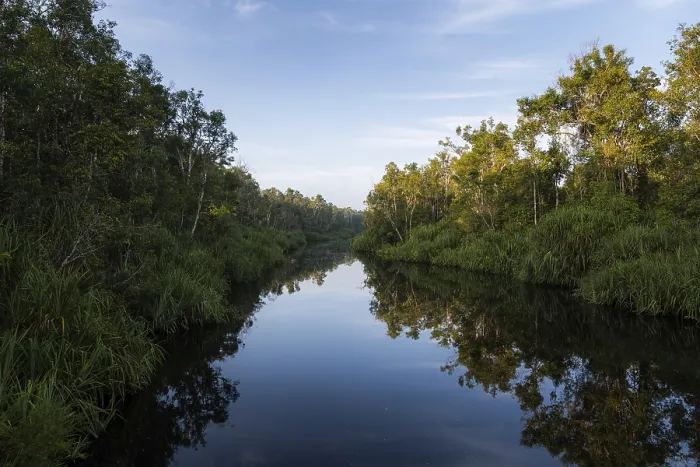 Framed Print : River View Print, Tanjung Puting National Park, Indonesia