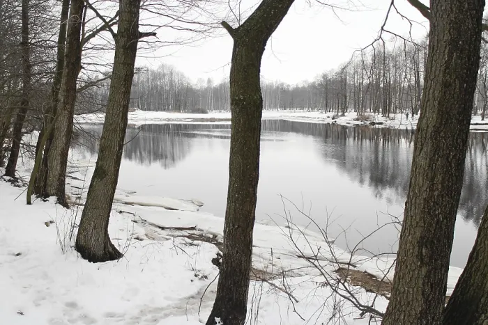 Framed Print : Winter River Landscape Print with Leafless Trees Framed Print : Winter River Landscape Print with Leafless Trees