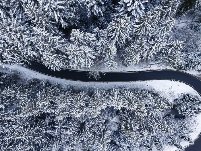 Framed Print : Road through the forest in snow Print, Black Forest, Germany Framed Print : Road through the forest in snow Print, Black Forest, Germany