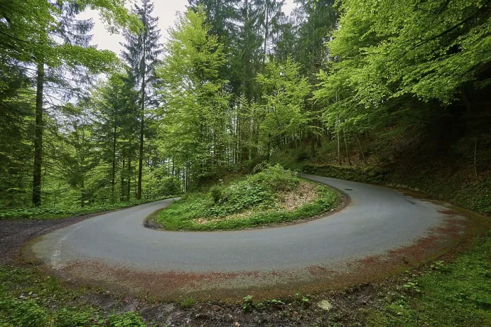 Framed Print : Swiss Forest Road Print, Pre-Alps Framed Print : Swiss Forest Road Print, Pre-Alps