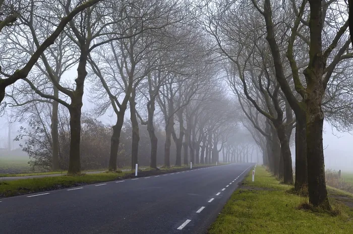 Framed Print : Dense Fog Road Print Framed Print : Dense Fog Road Print