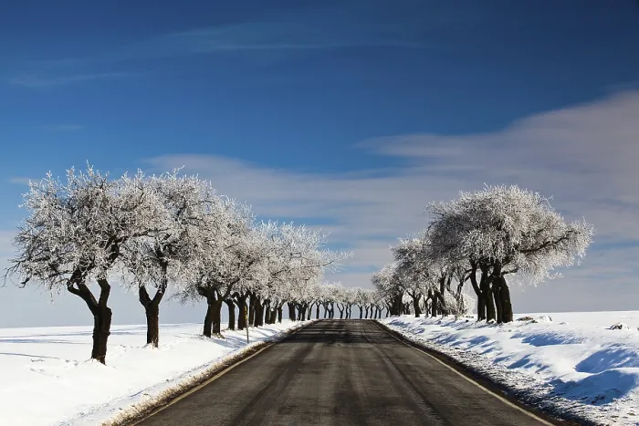 Framed Print : Empty Road in Winter Print Framed Print : Empty Road in Winter Print