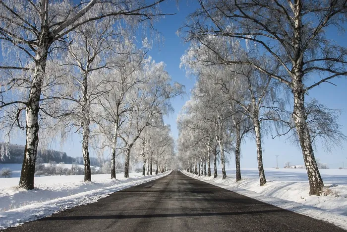 Framed Print : Empty Road in Winter Print Framed Print : Empty Road in Winter Print