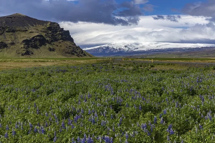 Framed Print : Roadside Ring Road, Iceland Print Framed Print : Roadside Ring Road, Iceland Print