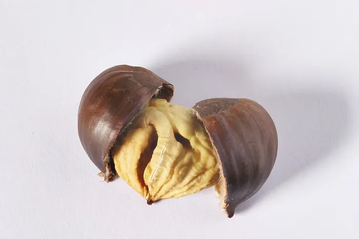 Framed Print : Roasted Chestnuts Print Framed Print : Roasted Chestnuts Print