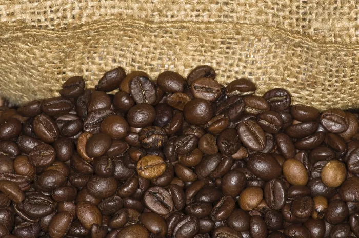 Framed Print : Roasted Coffee Beans with Jute Sack Print Framed Print : Roasted Coffee Beans with Jute Sack Print