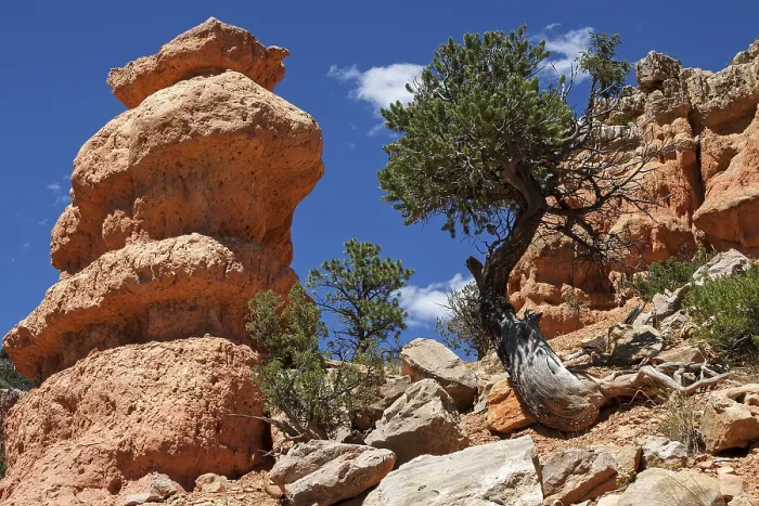 Framed Print : Rock Formations Print, Red Canyon, Utah Framed Print : Rock Formations Print, Red Canyon, Utah