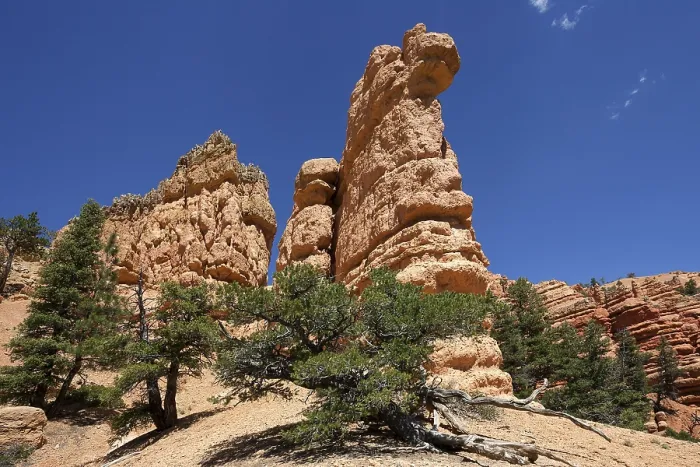 Framed Print : Rock Formations Print, Red Canyon, Utah Framed Print : Rock Formations Print, Red Canyon, Utah