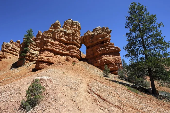 Framed Print : Red Canyon Erosion Rock Formations Print, Utah, USA Framed Print : Red Canyon Erosion Rock Formations Print, Utah, USA