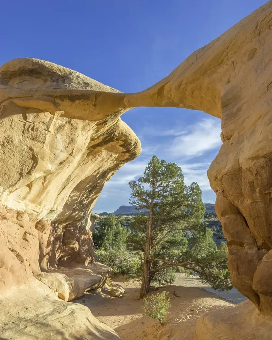 Framed Print : Devil's Garden Rock Formations Print, Escalante, Utah Framed Print : Devil's Garden Rock Formations Print, Escalante, Utah