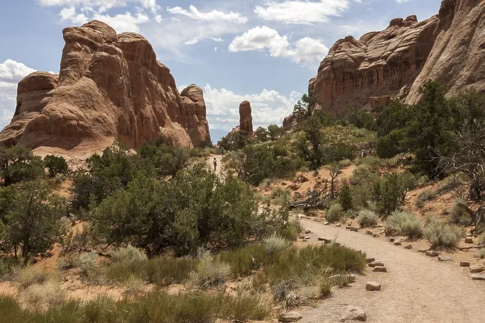 Framed Print : Devil's Garden Trailhead Rock Formations Print, Arches National Park Framed Print : Devil's Garden Trailhead Rock Formations Print, Arches National Park