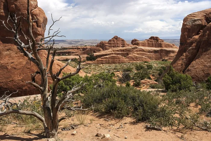 Framed Print : Devil's Garden Trailhead Rock Formations Print, Arches National Park Framed Print : Devil's Garden Trailhead Rock Formations Print, Arches National Park