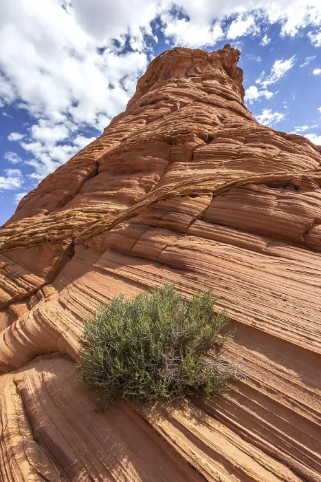 Framed Print : Rock Formations Print - Teepees, Marble Canyon, Arizona Framed Print : Rock Formations Print - Teepees, Marble Canyon, Arizona