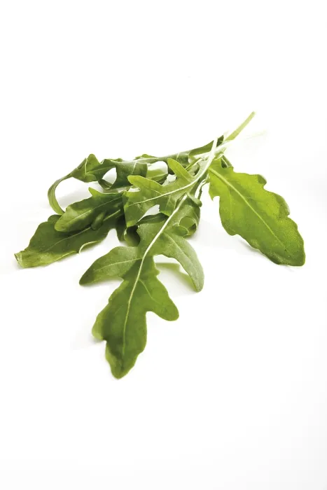 Framed Print : Rocket, Arugula Print Framed Print : Rocket, Arugula Print