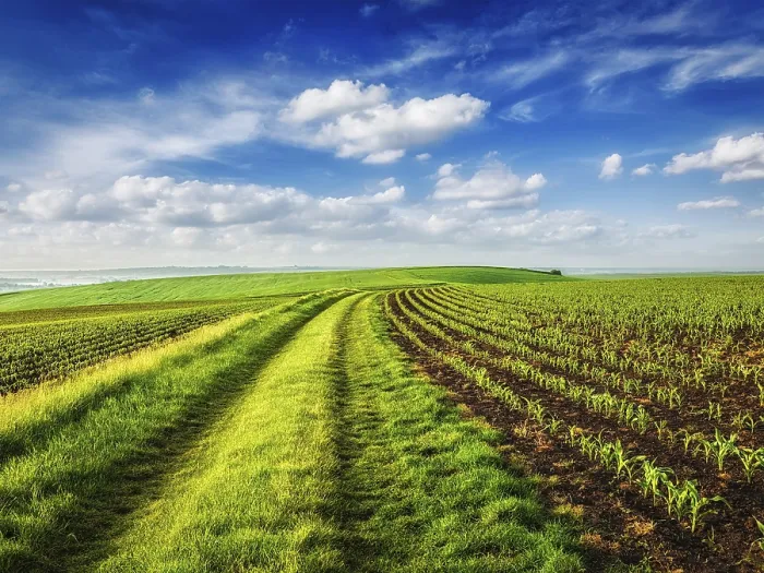 Framed Print : Rolling Fields of Moravia Print, Czech Republic Framed Print : Rolling Fields of Moravia Print, Czech Republic